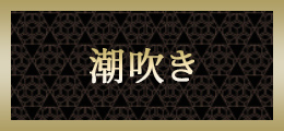 宇都宮 潮吹き【熟女の風俗最終章 宇都宮】